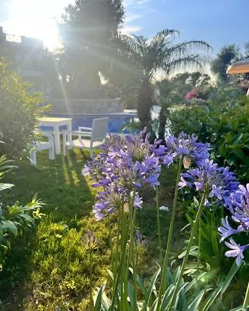 Hotel Umayra Boutique