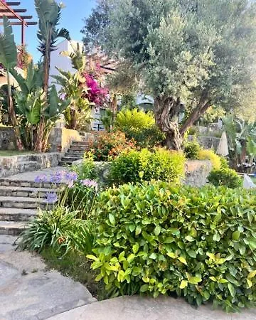 Hotel Umayra Boutique *