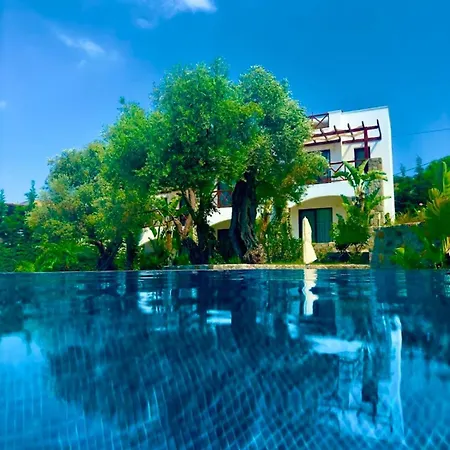 Hotel Umayra Boutique *
