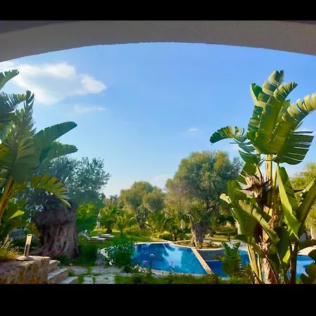 Umayra Boutique Hotel *